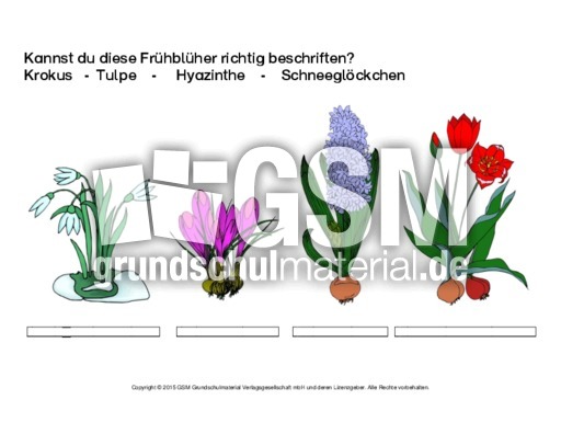 1-AB-Frühblüher-beschriften-2.pdf